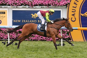 Set Square Ethereal Stks